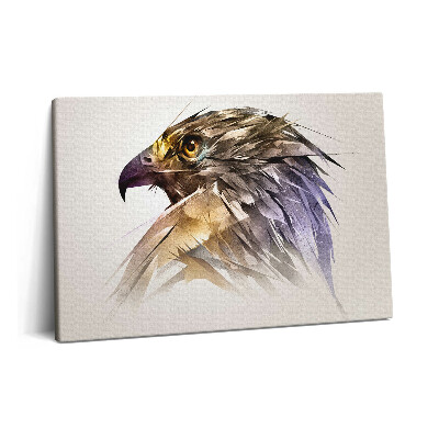 Canvas kép 60x40 Királyi ragadozó madár
