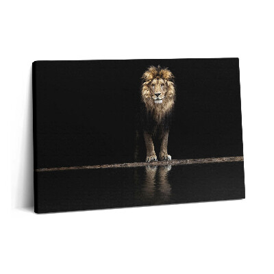 Canvas kép 60x40 Magányos vadállat oroszlán