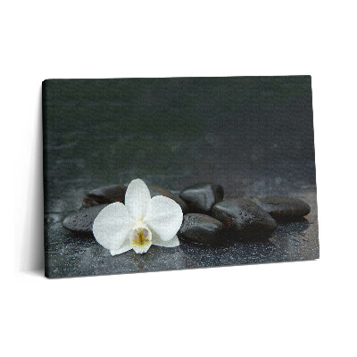 Canvas kép 60x40 Zen kövek fehér virágokkal