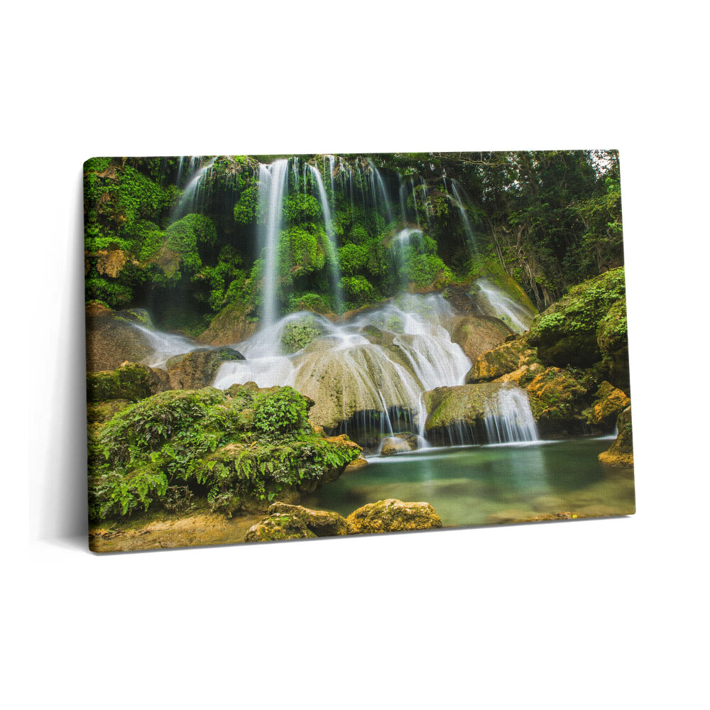 Canvas kép 60x40 Vad természetes vízesés