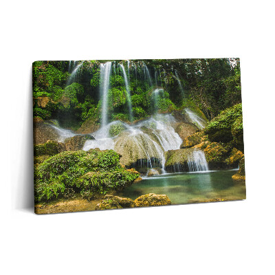 Canvas kép 60x40 Vad természetes vízesés