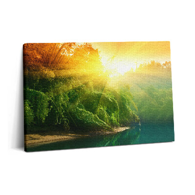 Canvas kép 60x40 Természeti táj a napsütésben
