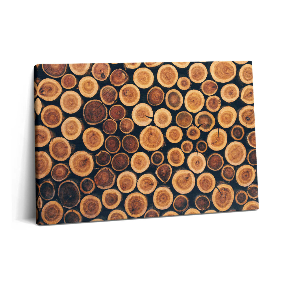 Canvas kép 60x40 Fa fatörzsek