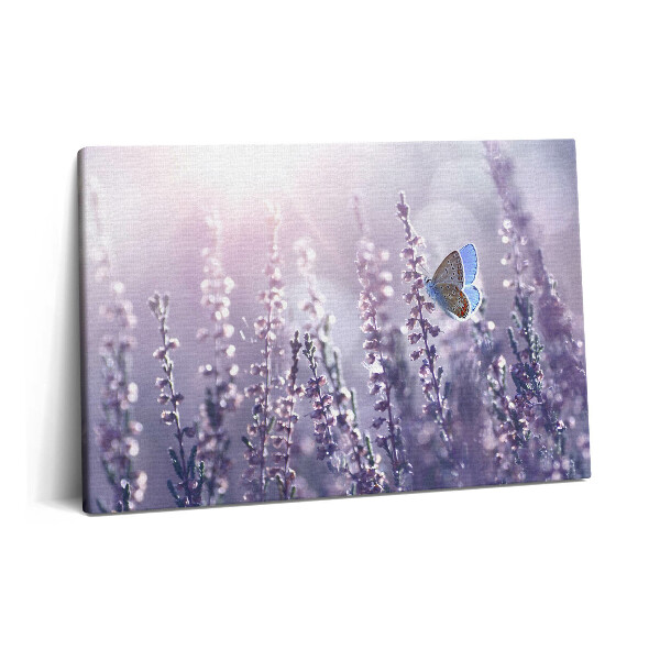 Canvas kép 60x40 Pillangó mezei virágokon