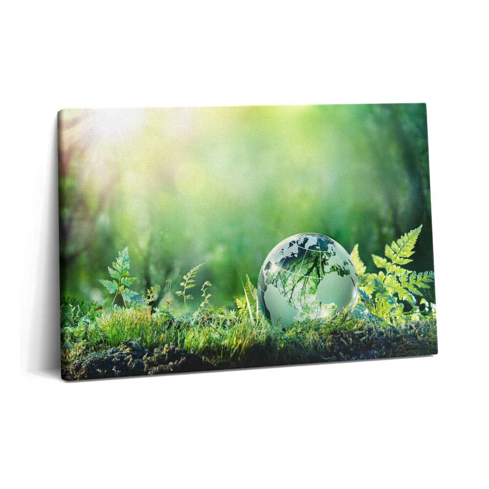 Canvas kép 60x40 Földgömb a fűben