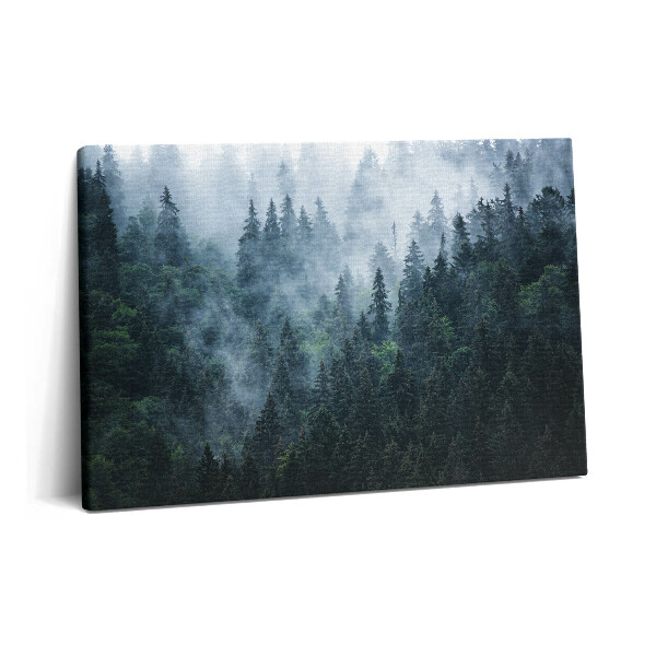 Canvas kép 60x40 Ködös hegyi táj