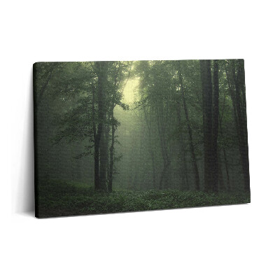 Canvas kép 60x40 Ködös erdő reggel