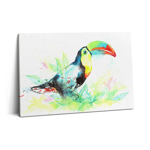 Canvas kép 60x40 Tukán akvarell fű