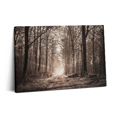 Canvas kép 60x40 Erdei ösvény szepia színekben