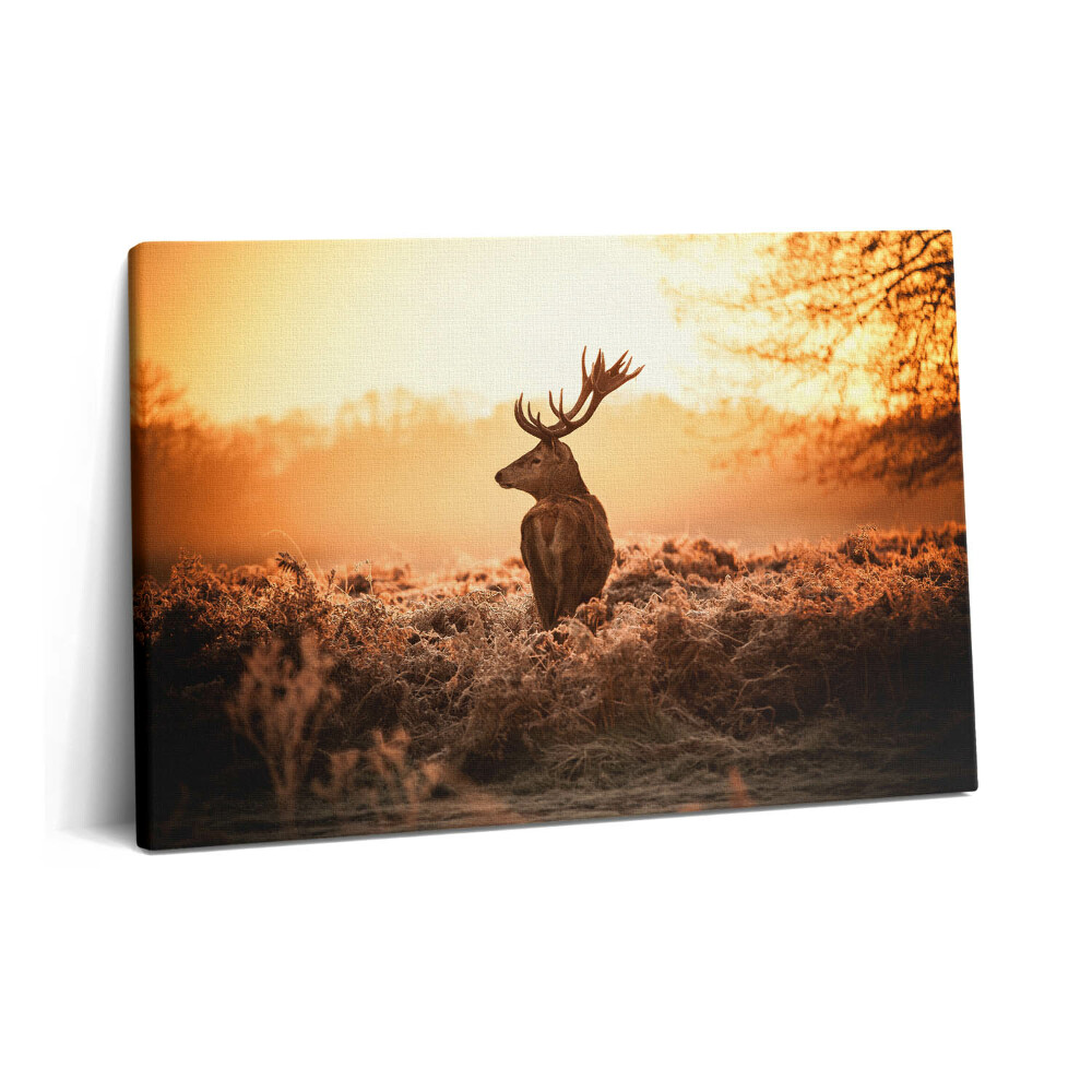 Canvas kép 60x40 Szarvasok napfelkeltekor
