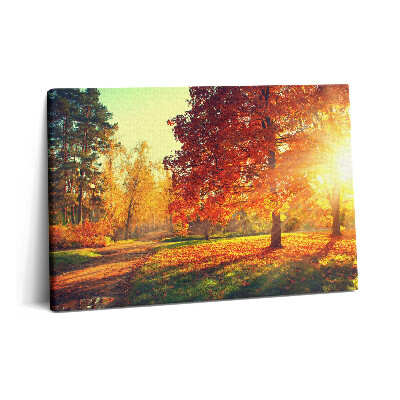 Canvas kép 60x40 Őszi park