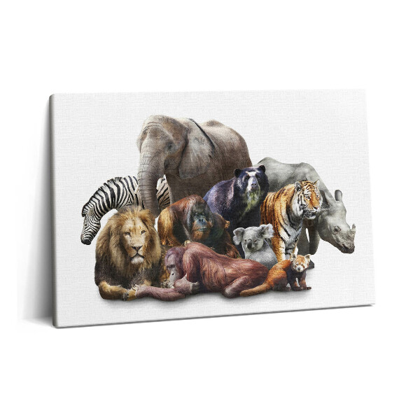 Canvas kép 60x40 Vadvilág