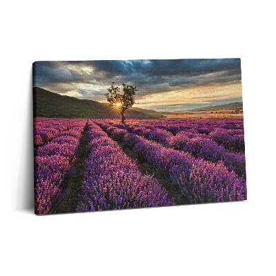 Canvas kép 60x40 Levendulamezős tájkép