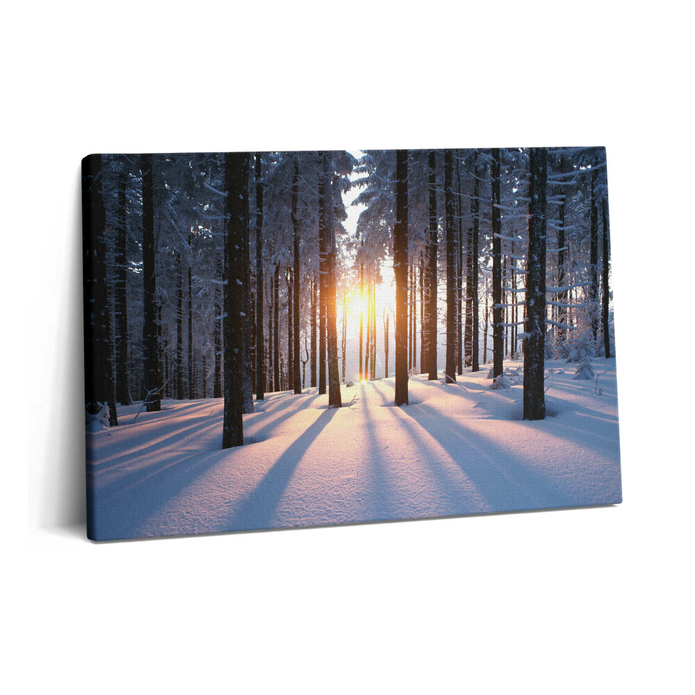 Canvas kép 60x40 Naplemente és erdő télen
