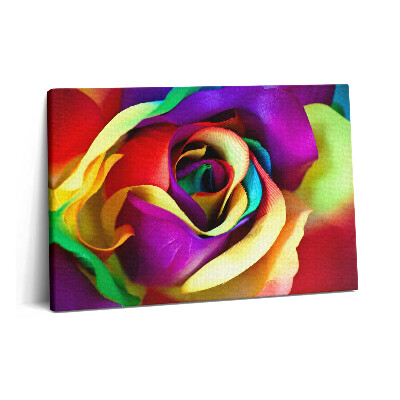 Canvas kép 60x40 Szivárványos rózsa