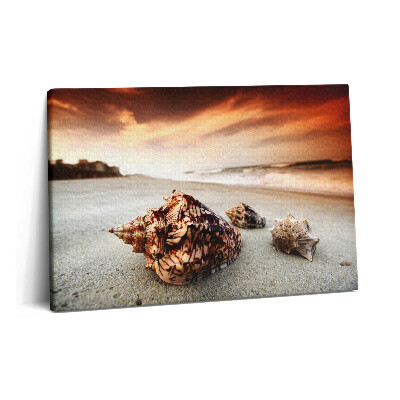 Canvas kép 60x40 Kagylók a tengerparton
