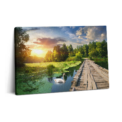 Canvas kép 60x40 Hattyú naplementében