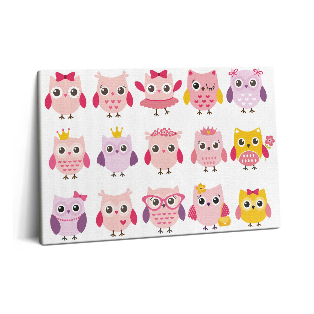 Canvas kép 60x40 Színes baglyok