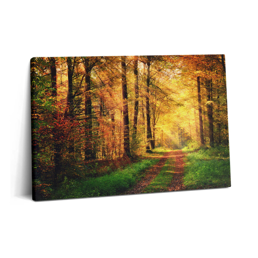 Canvas kép 60x40 Őszi erdei tájkép