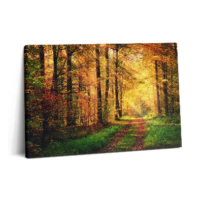 Canvas kép 60x40 Őszi erdei tájkép