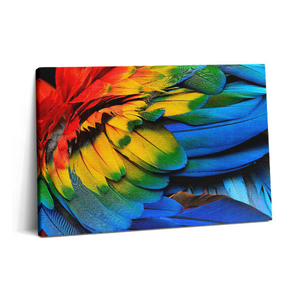 Canvas kép 60x40 Egy ara papagáj színes szárnyai