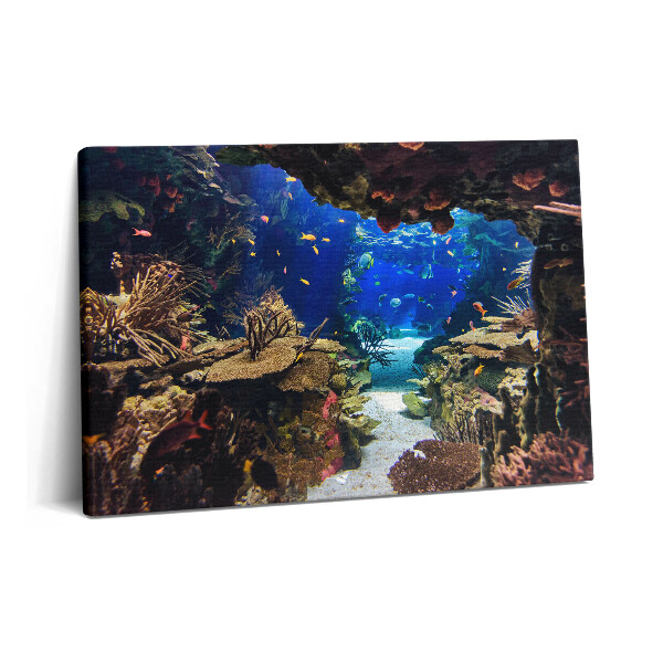Canvas kép 60x40 Akvárium