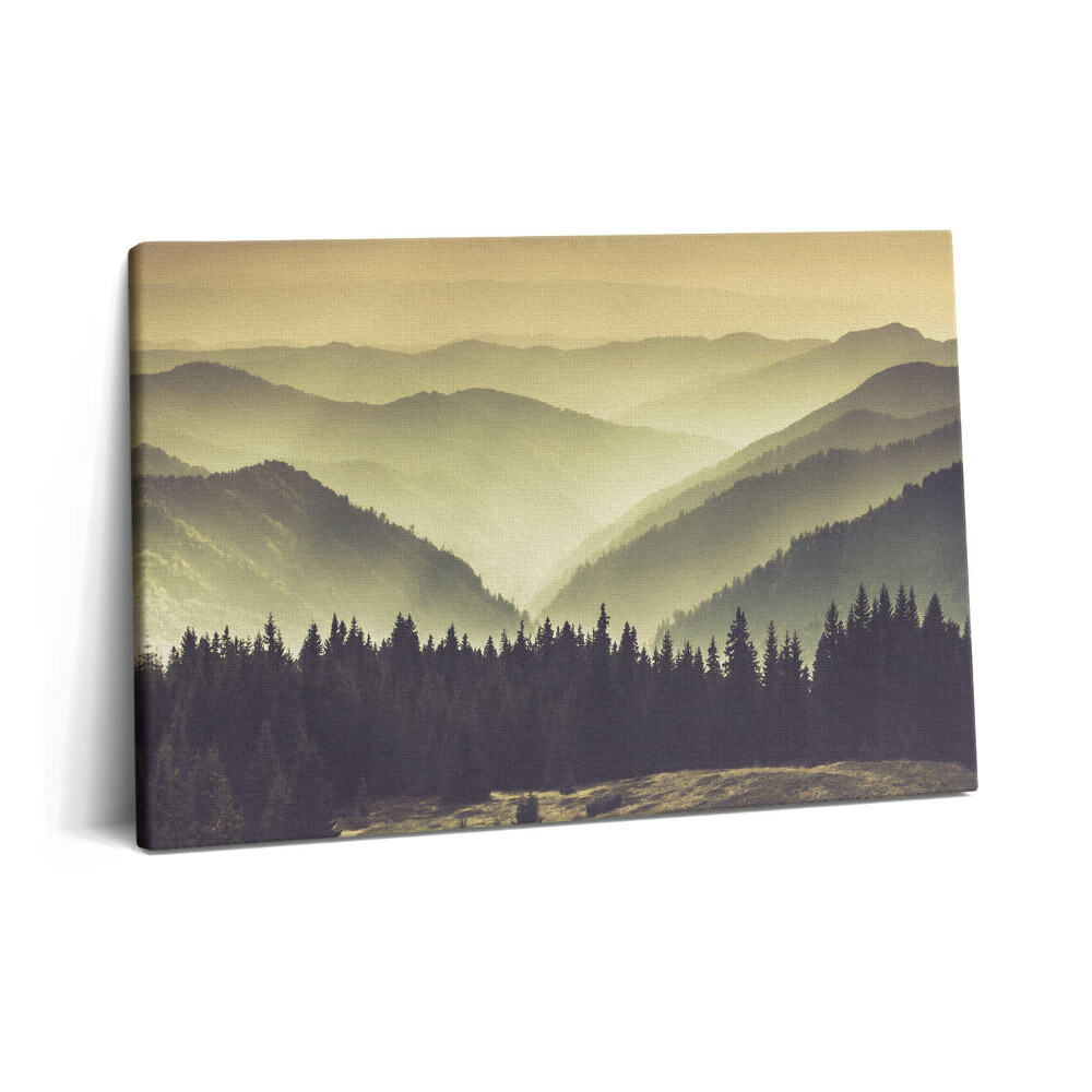Canvas kép 60x40 Ködös hegyoldal