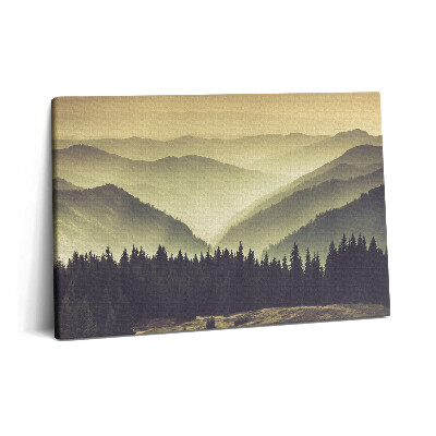 Canvas kép 60x40 Ködös hegyoldal