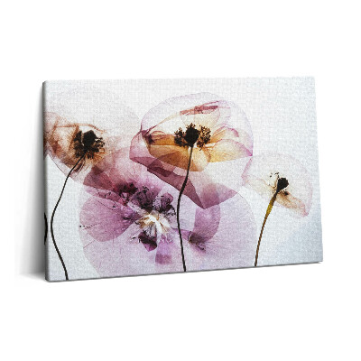 Canvas kép 60x40 Szárított mákvirágok