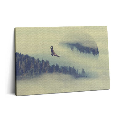 Canvas kép 60x40 Ködös erdő és egy sas