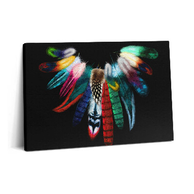 Canvas kép 60x40 Színes madártollak