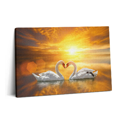 Canvas kép 60x40 Szerelmes hattyúk