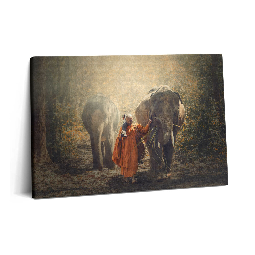Canvas kép 60x40 Szerzetes és elefántok
