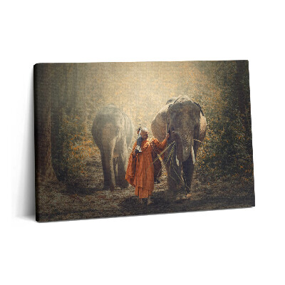 Canvas kép 60x40 Szerzetes és elefántok