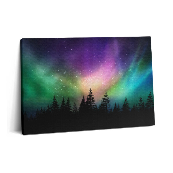 Canvas kép 60x40 Sarki fény