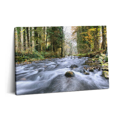 Canvas kép 60x40 Hegyi patak