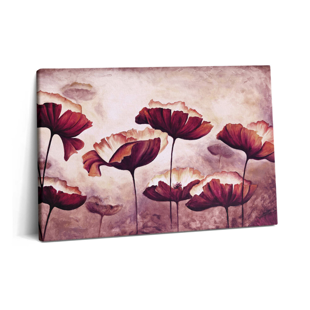 Canvas kép 60x40 Virágzó mákvirágok