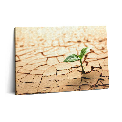 Canvas kép 60x40 Ültetés száraz talajban