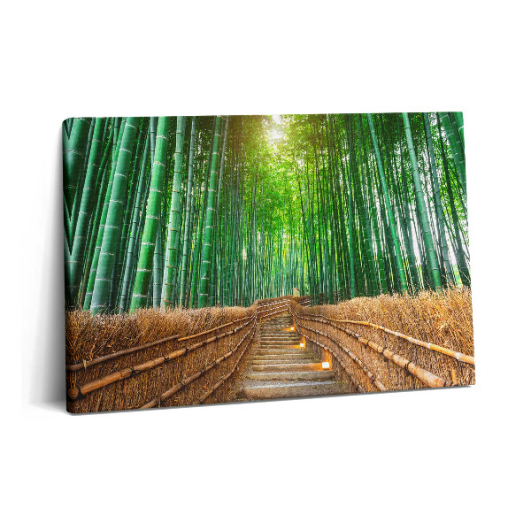 Canvas kép 60x40 Út egy bambuszos erdőben