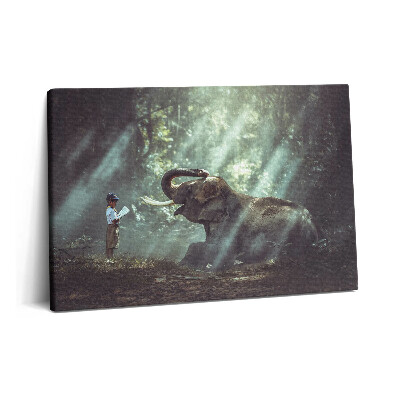 Canvas kép 60x40 Fiú könyvvel