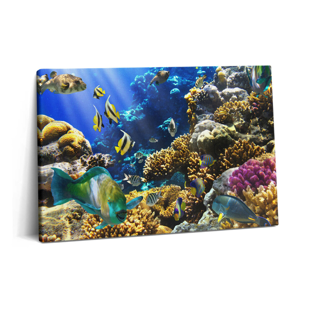 Canvas kép 60x40 Halak képe egy korallzátonyon