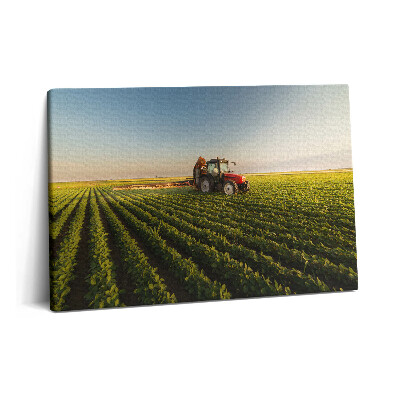 Canvas kép 60x40 Traktor permetez egy mezőn