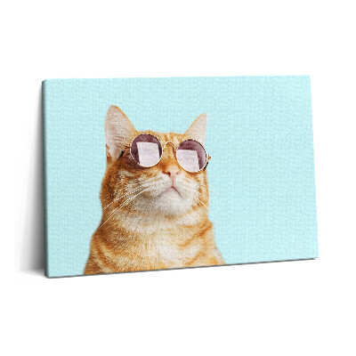 Canvas kép 60x40 Vicces macska szemüveggel
