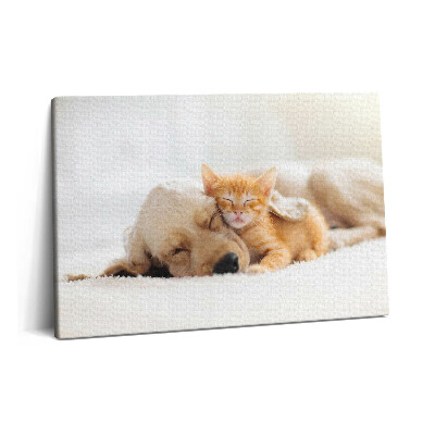 Canvas kép 60x40 Alvó állatok macska és kutya