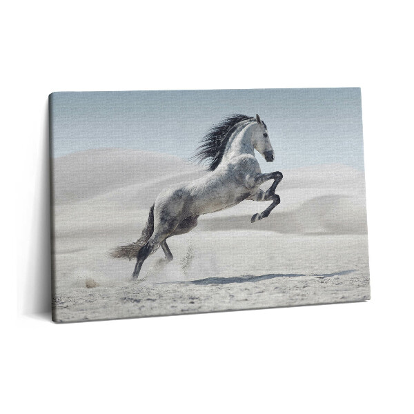 Canvas kép 60x40 Galoppozó fehér ló