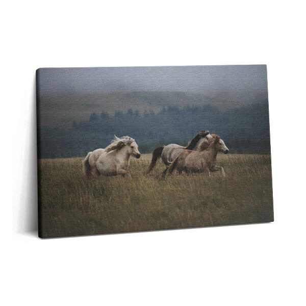 Canvas kép 60x40 Lovak galoppoznak felfelé