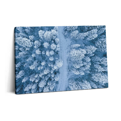 Canvas kép 60x40 Az erdő madártávlatból. Drónok