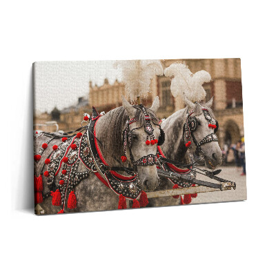 Canvas kép 60x40 Gyönyörű lovak Krakkóban