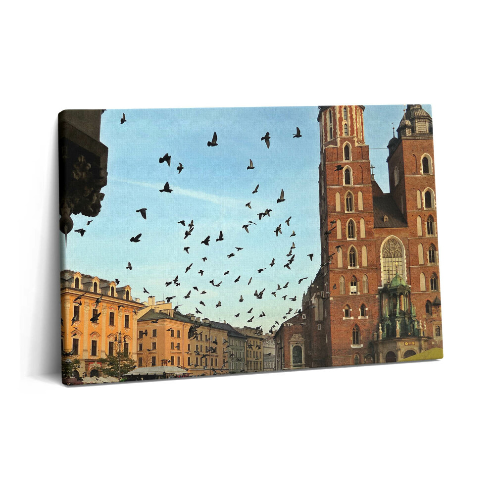 Canvas kép 60x40 Galambok Krakkó városában