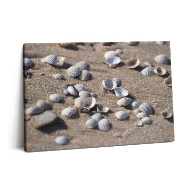 Canvas kép 60x40 Kagylók a tengerparton